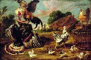 Paul de Vos The fight between a turkey and a rooster. oil painting artist